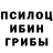 Псилоцибиновые грибы ЛСД StailFX