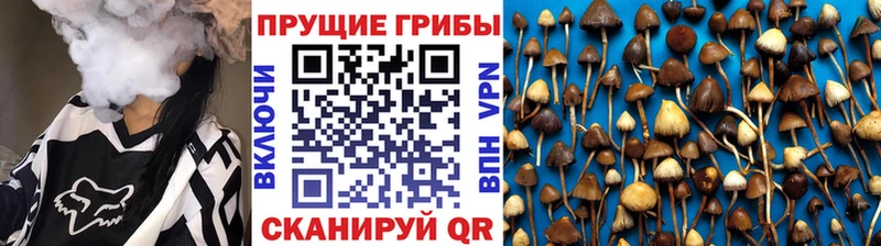 наркошоп Сорочинск Галлюциногенные грибы мицелий